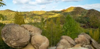 Descubre el extraño fenómeno de las «piedras vivientes»