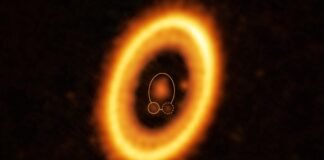 ¿Dos planetas compartiendo la misma órbita?