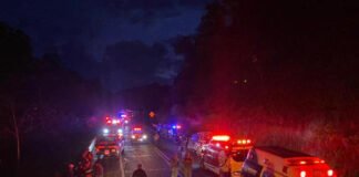 Trágico accidente de tránsito en el oeste de México deja 15 personas fallecidas