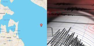 Un terremoto de magnitud 5,9 sacude el noreste de Japón