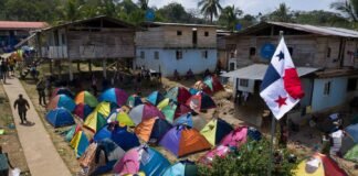 Más de 290 mil migrantes ingresaron a Panamá este año