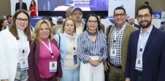Diputados chavistas integran misión de observación electoral para Ecuador