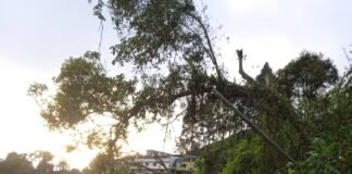 Caos en Lagunetica tras apagón