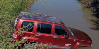 Hallan cinco cadáveres dentro de una camioneta en el estado mexicano de Guanajuato