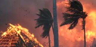 La empresa electrica de Hawái reconoce responsabilidad por los incendios, pero culpa a los bomberos