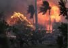 Asciende a 67 el número de fallecidos por los incendios en Hawái