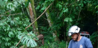 Lluvias afectaron a seis sectores de Los Salias