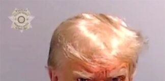 Trump sale en libertad bajo fianza de 200.000 dólares