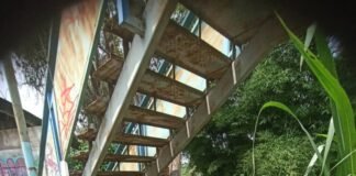 Usuarios de pasarela ubicada en km 20 de la Panamericana advierten sobre colapso