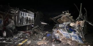 Al menos 15 muertos tras accidente de un autobús con venezolanos en México
