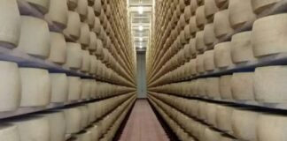 Empresario murió aplastado por 25.000 quesos Grana Padano