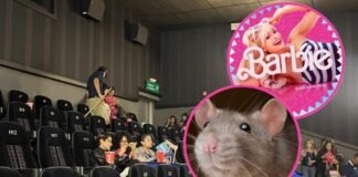 Paran función de “Barbie” por una rata en la sala de cine