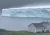 Captan llegada de iceberg gigante en isla de Terranova en Canadá