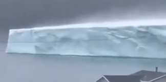 Captan llegada de iceberg gigante en isla de Terranova en Canadá