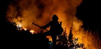 La Guardia Civil confirma que el incendio de Tenerife fue provocado
