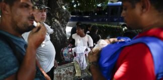 Panamá: Policía ha rescatado a 244 migrantes en la selva del Darién este año