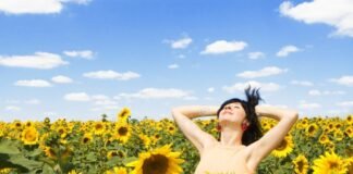 Buscan frenar desnudos en campos de girasoles