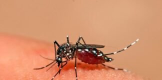 Ecuador declara alerta epidemiológica en tres provincias por un brote de dengue