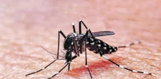 Avanza un brote de dengue con 19 fallecidos en Sudán