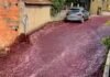 Dos millones de litros de vino tinto inundaron Portugal (+ video)