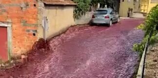 Dos millones de litros de vino tinto inundaron Portugal (+ video)