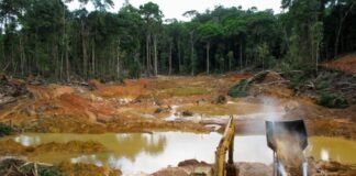 La minería ilegal provocó una aculturación en las comunidades indígenas de Amazonas