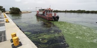 Realizan mediciones de calidad en las aguas del Lago de Maracaibo