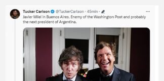 Elon Musk apoyó a Javier Milei: “Sería un buen cambio”