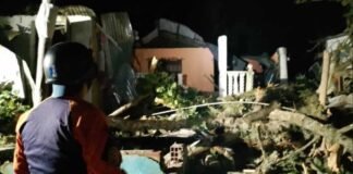 Cuatro personas resultan lesionadas al caer un árbol sobre su vivienda