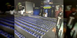 Detienen a un hombre por el tráfico de 276 kilos de marihuana en Carabobo