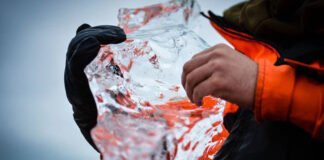 Identifican 28 virus desconocidos en un glaciar de 15.000 años