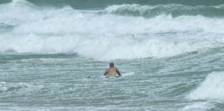 Un tiburón mordió en la cara a un surfista en una playa de Florida