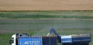 Ucrania rechaza quitar sanciones a Rusia a cambio del acuerdo del grano