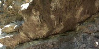Identifican en España 27 huellas de dinosaurios nadadores