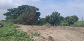 Aragua | Alcaldía de Lamas eliminó vertedero improvisado