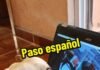 Milaneso el perro que se cree caballo