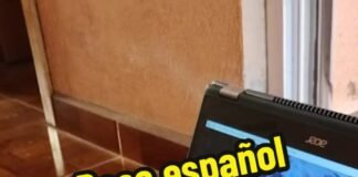 Milaneso el perro que se cree caballo