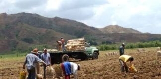 Migración en zonas rurales del país aumentó 48 %