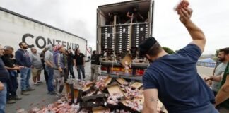 Viticultores franceses saquean camiones españoles de tomates y los tiran a la carretera en el paso de Perthus