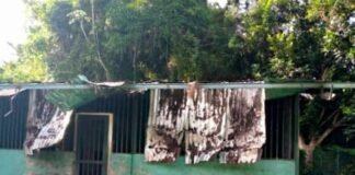 Escuela rural «Quebrada de Miguel» en Ocumare del Tuy está inoperativa