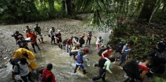 Más de 500.000 migrantes han cruzado la selva del Darién en 2023