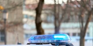 Bebé de tres meses muere tras ser atacado por su mascota