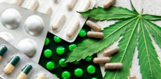 Japón legalizará el uso de medicamentos derivados de la marihuana