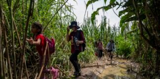 Más de 320.000 migrantes venezolanos y 120.000 niños cruzaron la selva del Darién