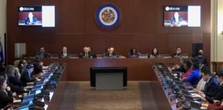 La OEA denuncia represión del Gobierno de Maduro contra la oposición en Venezuela