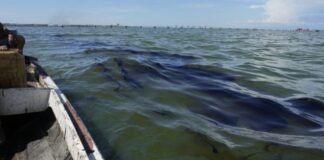 Aragua: Hallan a tres pescadores muertos en el lago Tacarigua