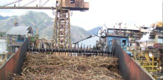 Se pierden 14 mil toneladas de caña en Sucre tras cierre del Central Azucarero de Cumanacoa