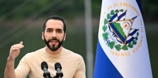 Nayib Bukele dice que está en condiciones de contener la violencia en Haití: “Podemos arreglarlo”