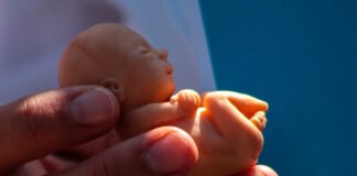 El Vaticano responde a Francia tras polémica legislación sobre el aborto: Matar una persona no puede considerarse un «derecho»