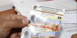 Licencia de manejo se adaptará a patrones internacionales